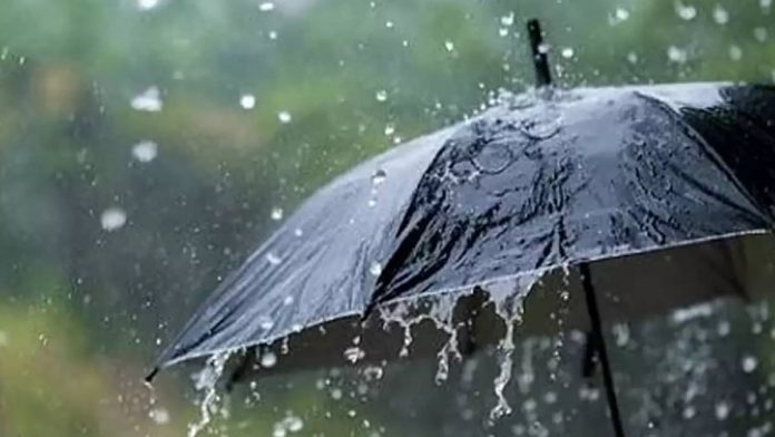 newsmalayalam_2026-04-16_y2wzcs5k_Rain-3