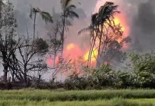 തൃശൂര് വെടിക്കെട്ട് ദുരന്തം: ചികിത്സയിലുള്ള ഒരാള് കൂടി മരിച്ചു, മരണ സംഖ്യ 16 ആയി