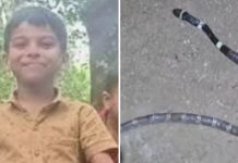 സർക്കാരിൻ്റെ കൈത്താങ്ങ്; കോടാലിയിൽ പാമ്പുകടിയേറ്റ അനോഷിൻ്റെ ചികിത്സാ ചെലവ് സർക്കാർ വഹിക്കും