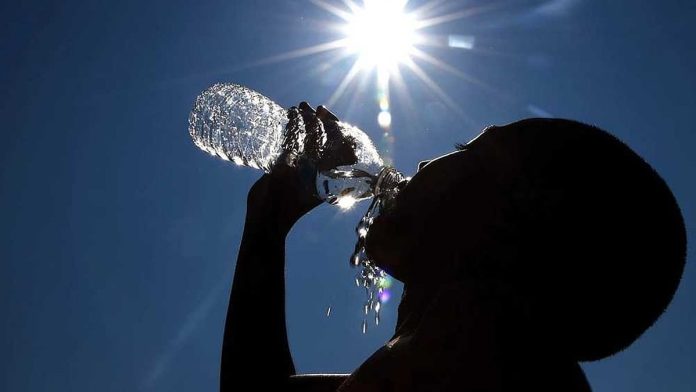 newsmalayalam_import_1745316893772-converted_file (1)