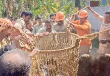 കല്യാണം ക്ഷണിക്കാനെത്തി; നായ കുരച്ചുചാടിയപ്പോൾ പേടിച്ച് കിണറ്റിൽ വീണു, 60-കാരന് പരിക്ക്